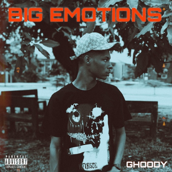 BIG EMOTIONS