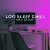 Lofi Sleep Chill and Study