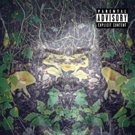 Terence Mckenna Keepin' It Cloudy