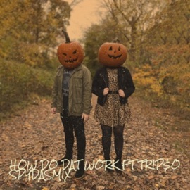 HOW DO DAT WORK (feat. TRIP$O) SpydasMix