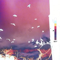 Carne (feat. NAYRA) - Single - Cmoon & Helical Boys