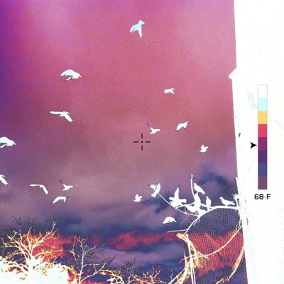 Carne (feat. NAYRA) - Single