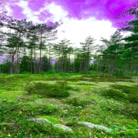 Seasons Change - Single - framtid