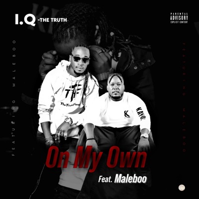 On My Own (feat. Maleboo) - Single