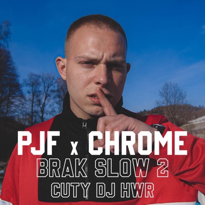 Brak Słów 2 (feat. Chrome89 & DJ HWR) - Single