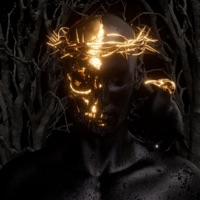 The Crows - Øverdrive