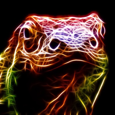 KOMODO (feat. Beast b0y) - Single