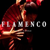 Flamenco artwork
