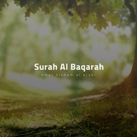 Surah Al Baqarah (Powerful) - Omar Hisham
