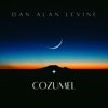 Cozumel (feat. Jeanette Harris) - Single