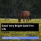 Good Very Bright Gold Fire Life - Composer Melvin Fromm Jr lyrics