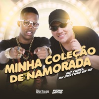 Minha Coleção de Namorada - Single - MC Fhael & DJ Gustavo da VS