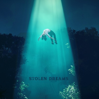 Stolen Dreams (feat. Samkeet Pramod & Vandita Narayan) - Single