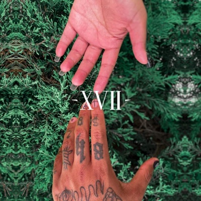 XVII - Single