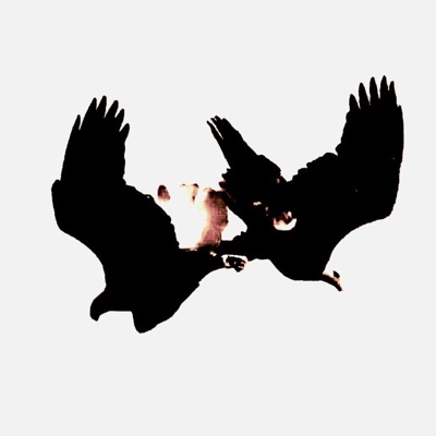 פ.צ.ע (feat. ninja420) - Single