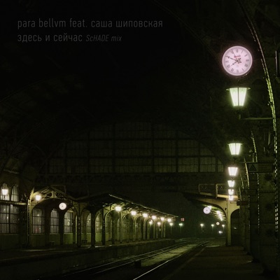 Здесь и сейчас (feat. Саша Шиповская) - Single