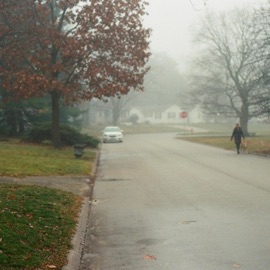 Never Mind Emily Hopkins & Vines