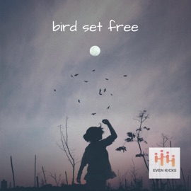 Bird Set Free (LoFi version) Even Kicks