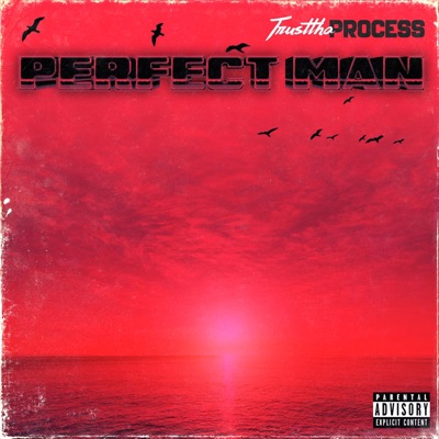 Perfect Man - Single