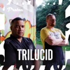 Trilucid & Philty Chit