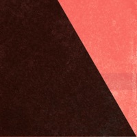 Wild Flower - Single - Florian Arbenz, Wolfgang Puschnig & Jorge Vistel