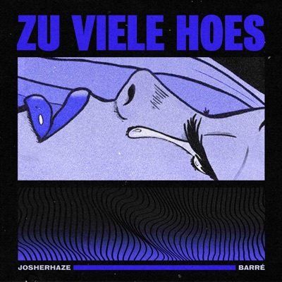 Zu viele Hoes - Single