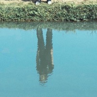 I Wont Regret You - Single - Edacity & xy softshade