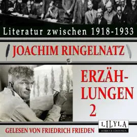 Erzählungen 2 (Durch das Schlüsselloch eines Lebens, Die wilde Miss vom Ohio, Der tätowierte Apion, Jemand erzählt von Illinep.)