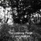 Entering the woods - The Listening Planet & Kyle MacLachlan lyrics