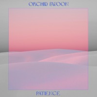 Orchid Swoon - Patience