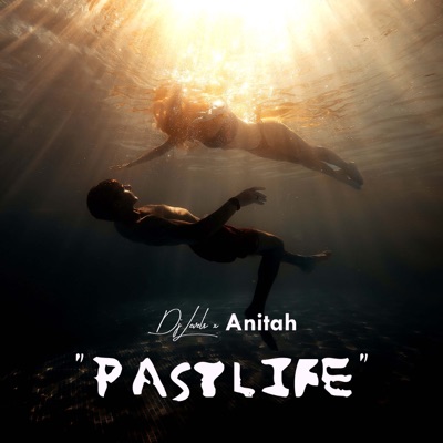 Past Life (feat. Anitah) - Single