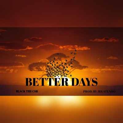 Better Days - Single