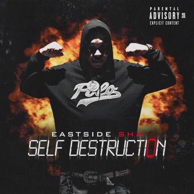 Self Destruction - Single