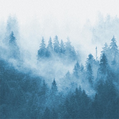 Blue Forest - Single