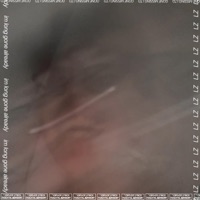 im long gone already - EP - LZ*