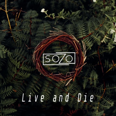 Live and Die - Single
