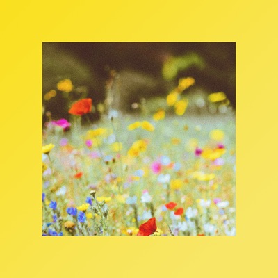 Lies - Single