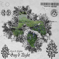 Day And Night - Single - EERIE