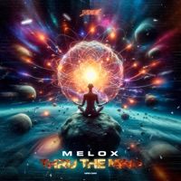 Thru the Mind - Single - MeLoX