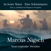 In freier Natur (Eine Schwärmerei) artwork