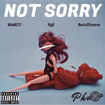Not Sorry (feat. MiaMiZ17, 6ig O & Nesto2Smoove) - Single