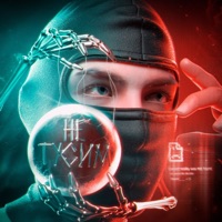 НЕ ТУСИМ - Single - Toxi$