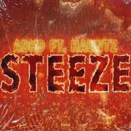 Steeze (feat. Hauntz) ADHD