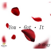 You Got It - Single - D GRAY