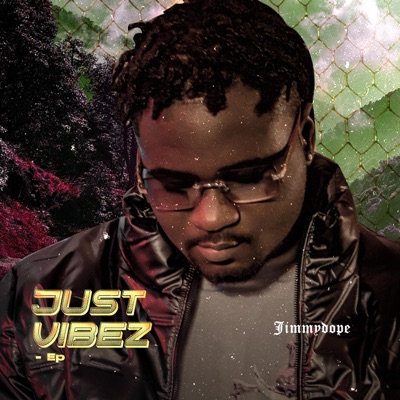 Just Vibez - Single