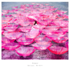 Ref:rain / 眩いばかり - EP - Aimer