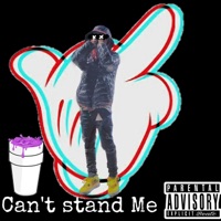 Cant Stand Me - Single - Lil Ree
