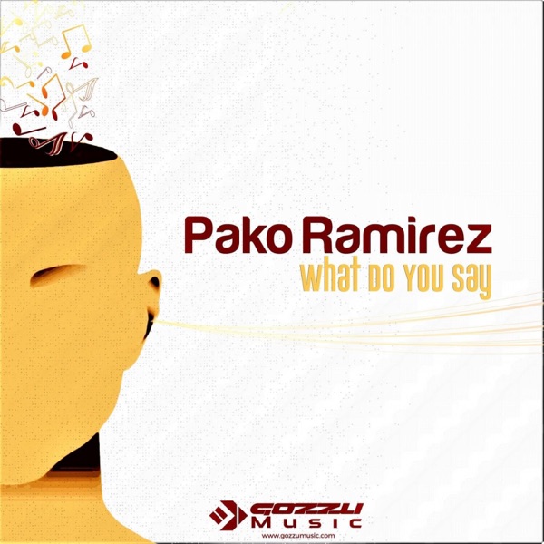What Do You Say - Single