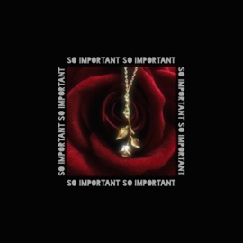 So Important Stirling