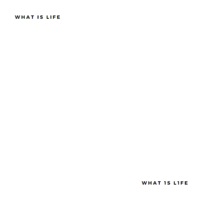 What Is Life  What 1s L1fe - Single - Svirgo19